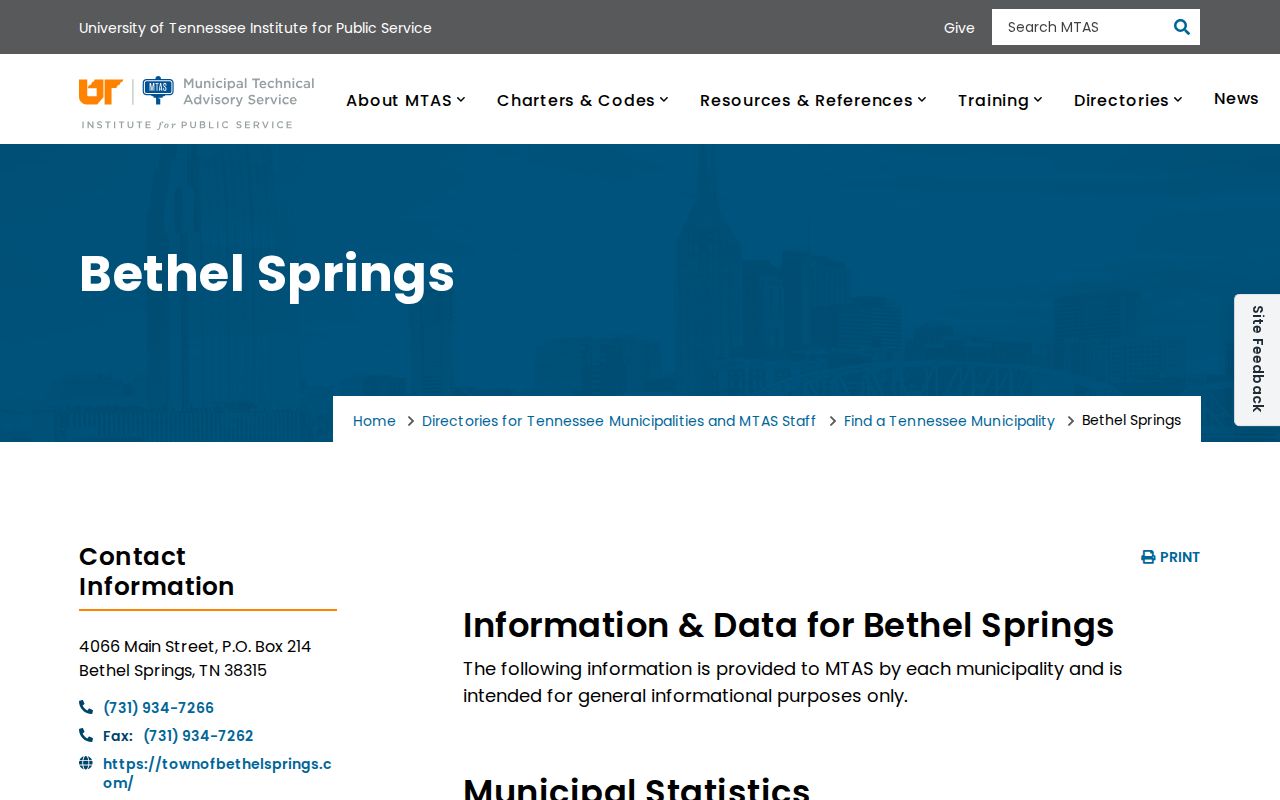 Bethel Springs criminal records context from the MTAS city profile