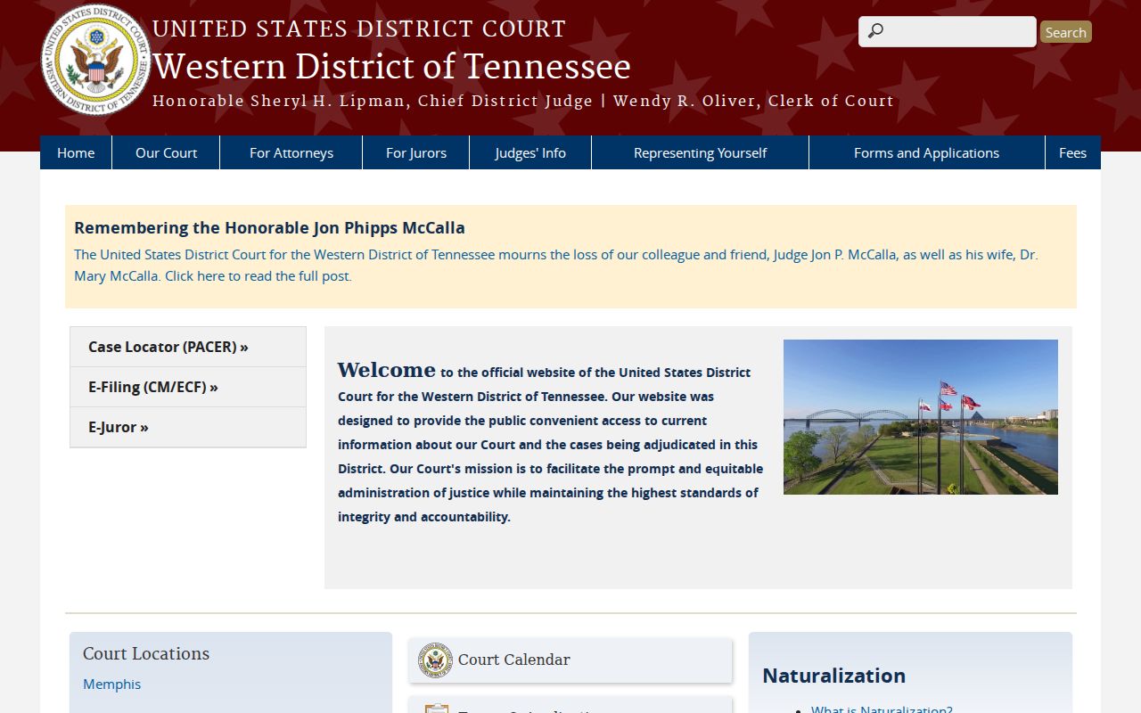 McNairy County criminal history Western District federal court